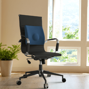 Almohadón Lumbar Ergonómico