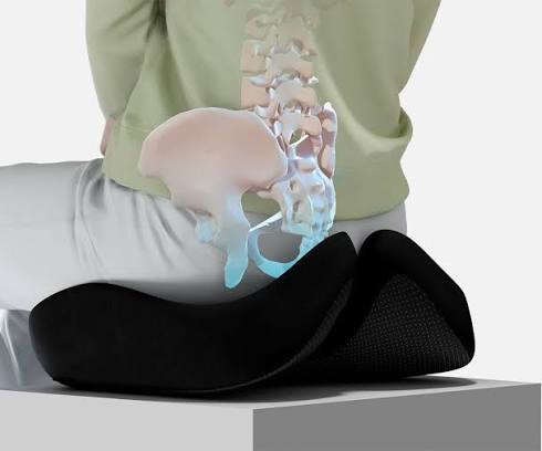 Cojín Ergonómico para Coxis y Espalda
